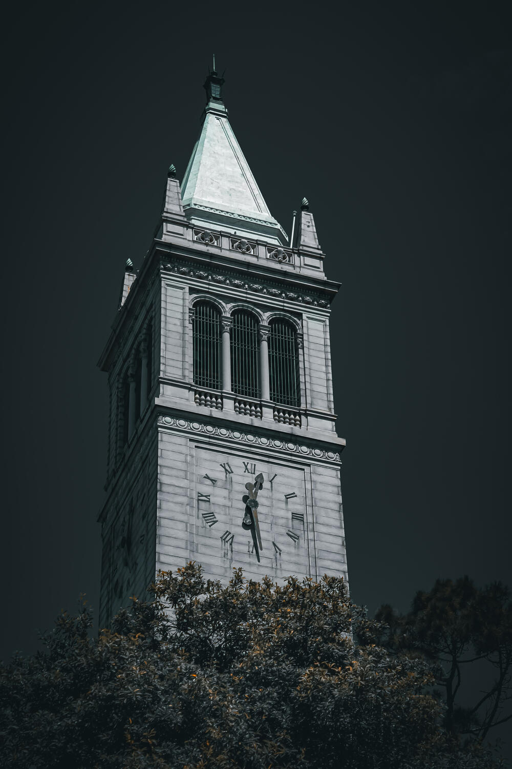 Dark Campanile